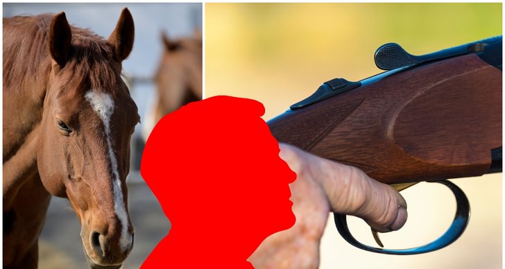 Vapenbrott, TT, Polisen, Hästar