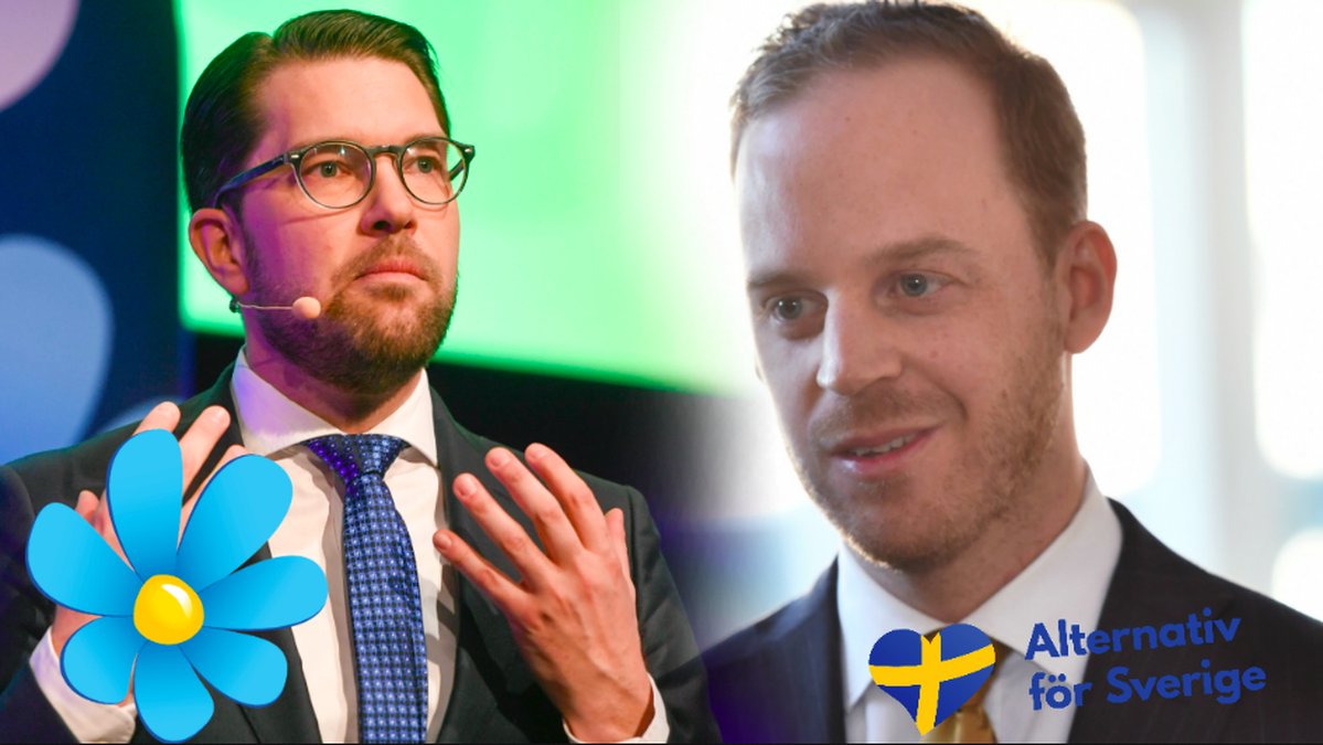 Skillnaden mellan Sverigedemokraterna och Alternativ för Sverige