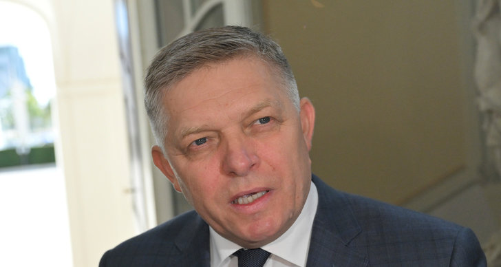 Stefan Löfven, Kriget i Ukraina, EU, TT