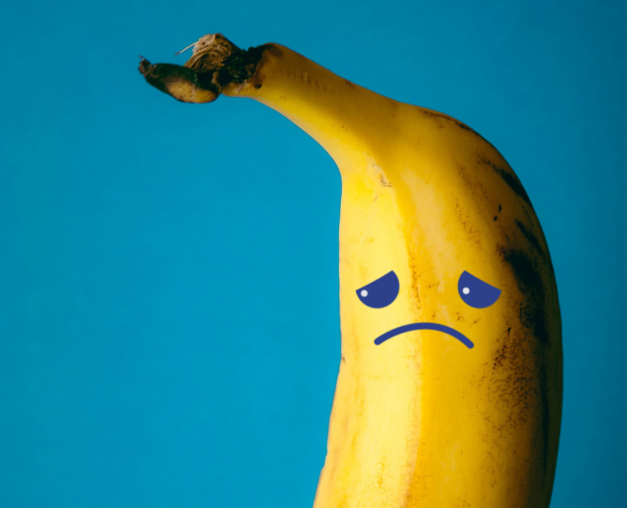 Bananen kan vara helt borta – om bara 5 år