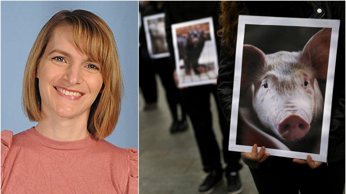 Dr Julia Baines är vetenskapspolitisk rådgivare på PETA
