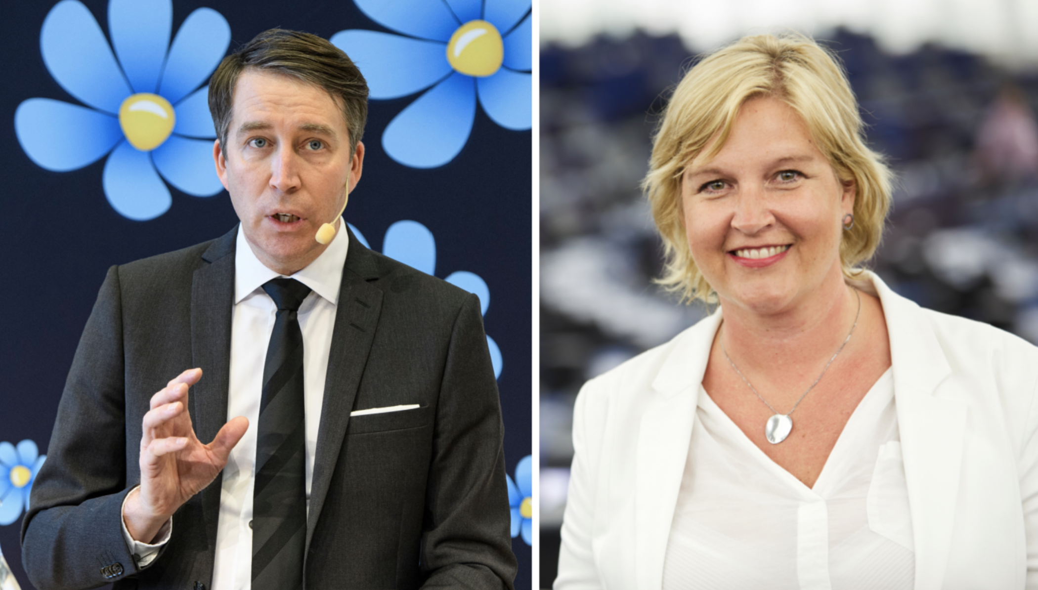 Sverigedemokraterna, Liberalerna, Valet 2022