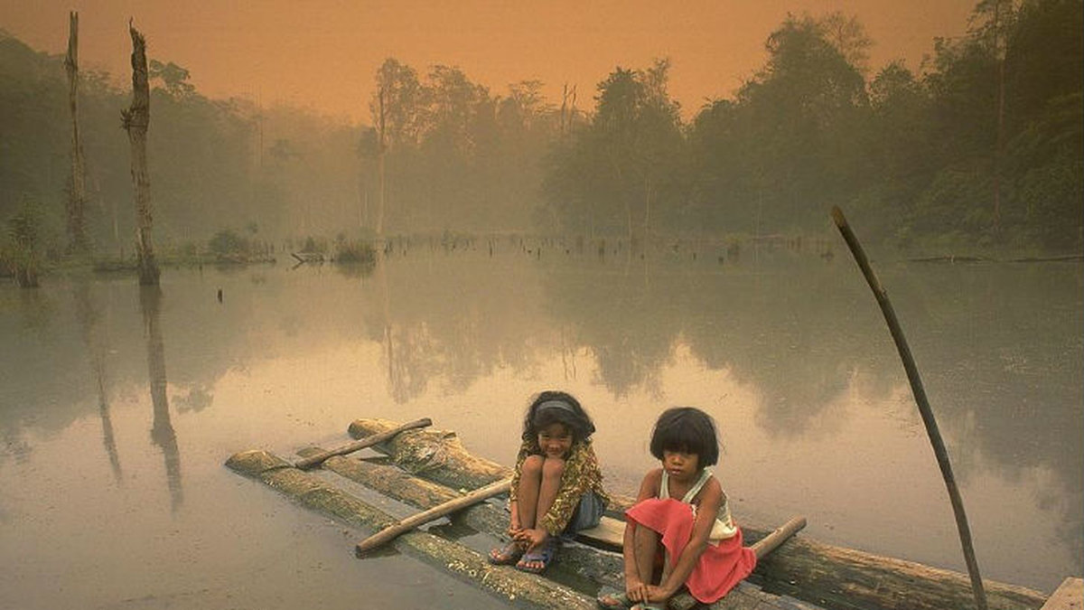 Två barn sitter på en flotte i en sjö omgivna av röken från brinnande tropisk regnskog. Skogsavverkning för att bereda plats för oljepalmer är ett av de största hoten mot Sumatras regnskogar. (Arkivbild)