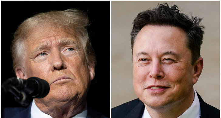 Elon Musk, Donald Trump, USA, Politik, TT