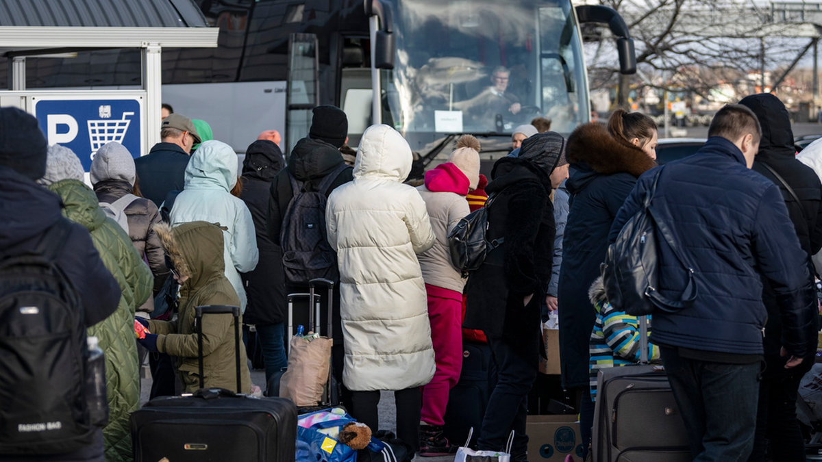 Många som flytt kriget löper risk att få bestående mentala ärr om de inte får rätt hjälp i tid. Här är ukrainska flyktingar på väg mot väntande bussar efter ankomst till hamnen i Karlskrona. Arkivbild.