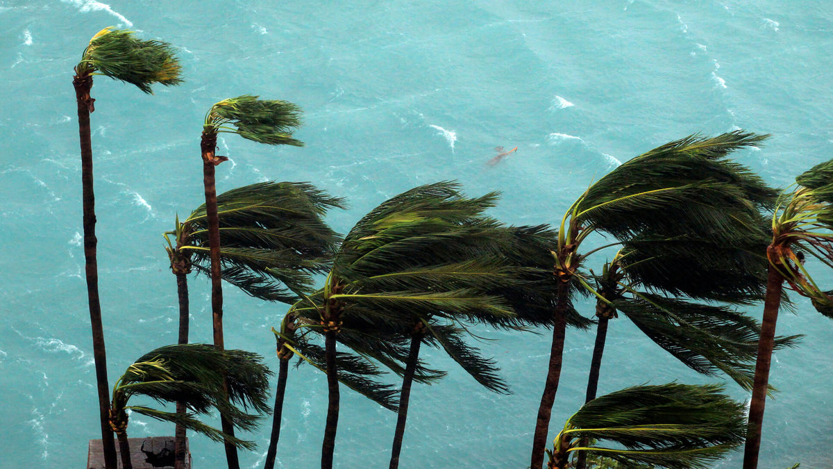 Igår nådde orkanen Bahamas.