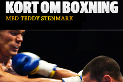 Teddy Stenmark, Krönika, boxning