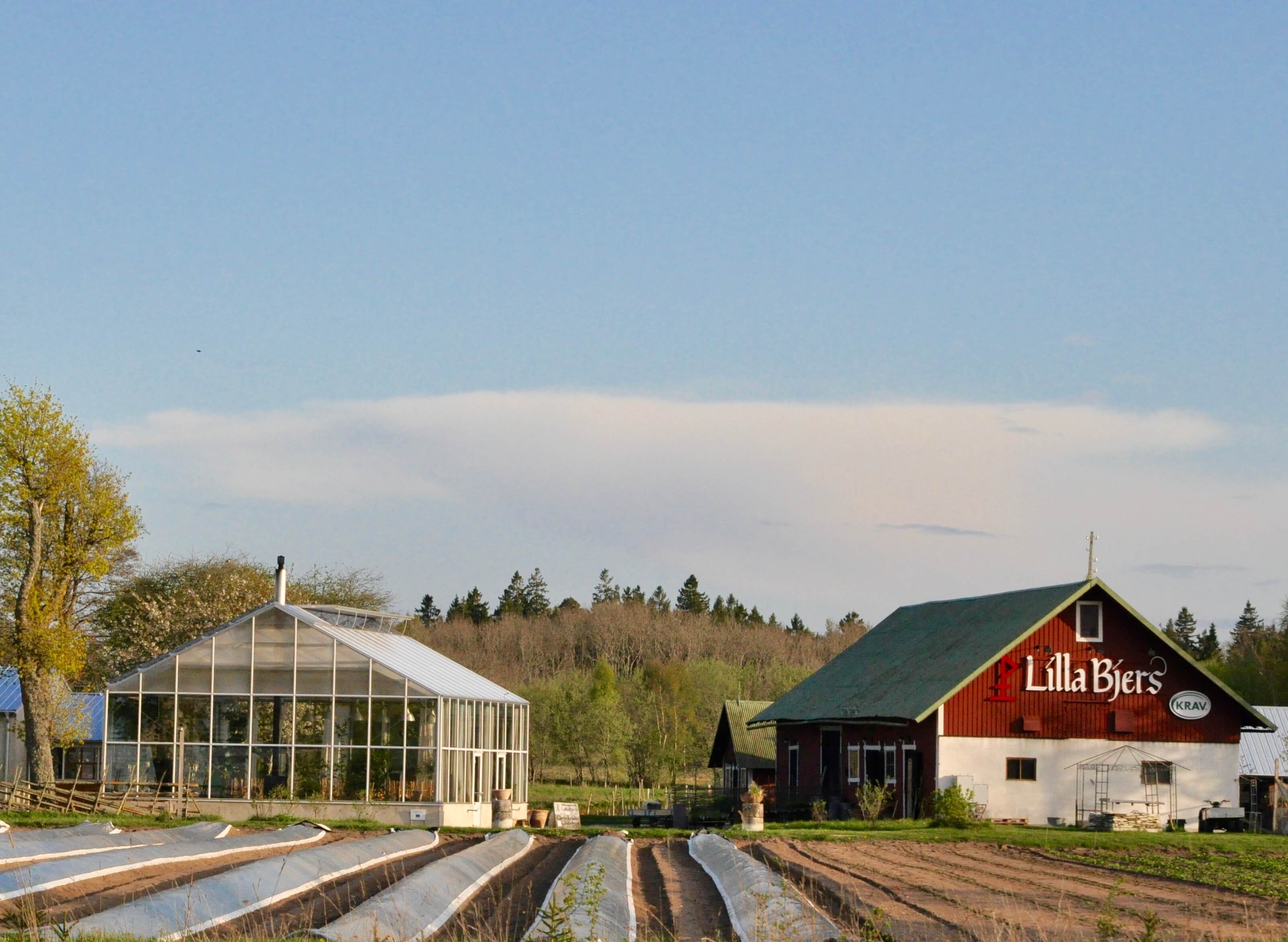 Lilla Bjers Gårdskrog på Gotland, cirka sju km söder om Visby. Lilla Bjers Gårdskrog på Gotland, cirka sju km söder om Visby.