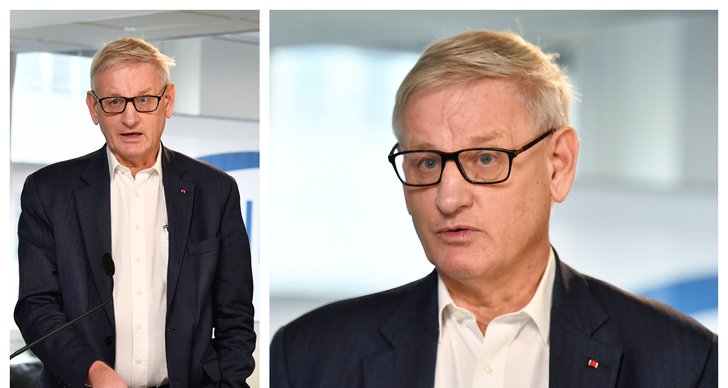 Carl Bildt, Lön, Pengar