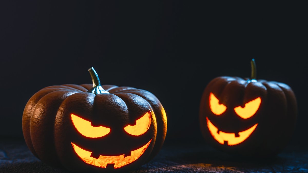 Reaktionerna på skräck är ett sätt för oss att överleva, men vissa tycker att de är rätt sköna och lite mysiga. Så till den grad att Halloween är en högtid som nästa helt handlar om att skrämmas.