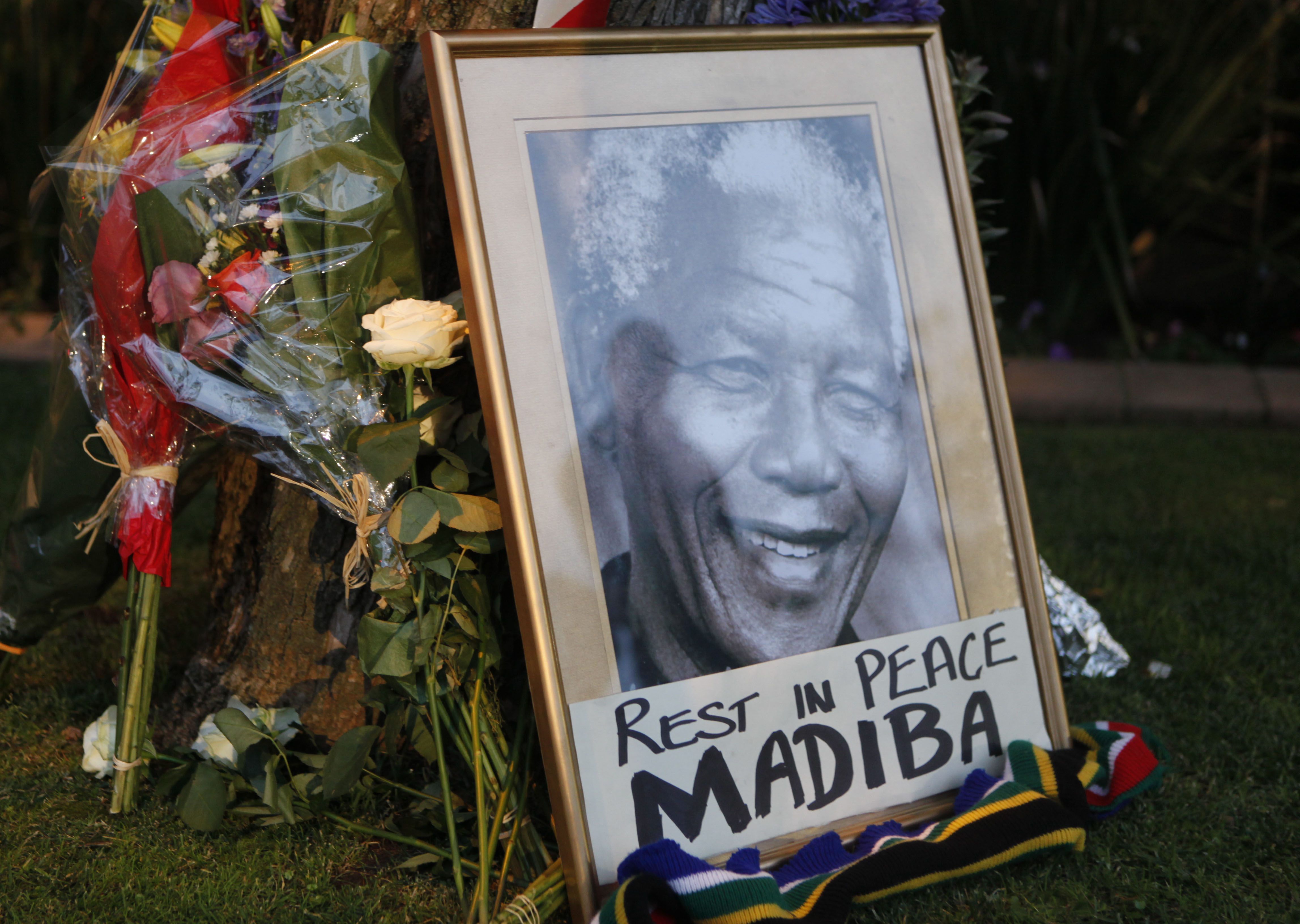 Nelson Mandela, Sydafrika
