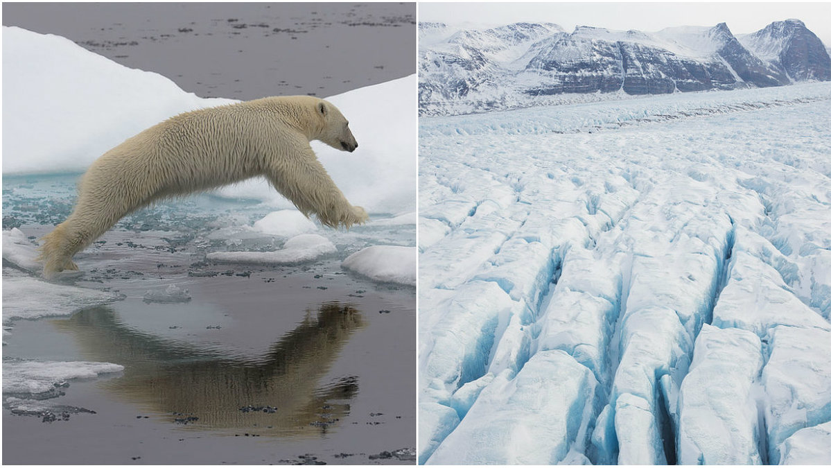 Forskare är riktigt oroade av vad som händer på Arktis. 