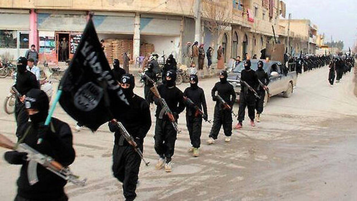 Terrorgruppen Islamiska staten (IS) låg bland annat bakom förra årets attacker i Paris.