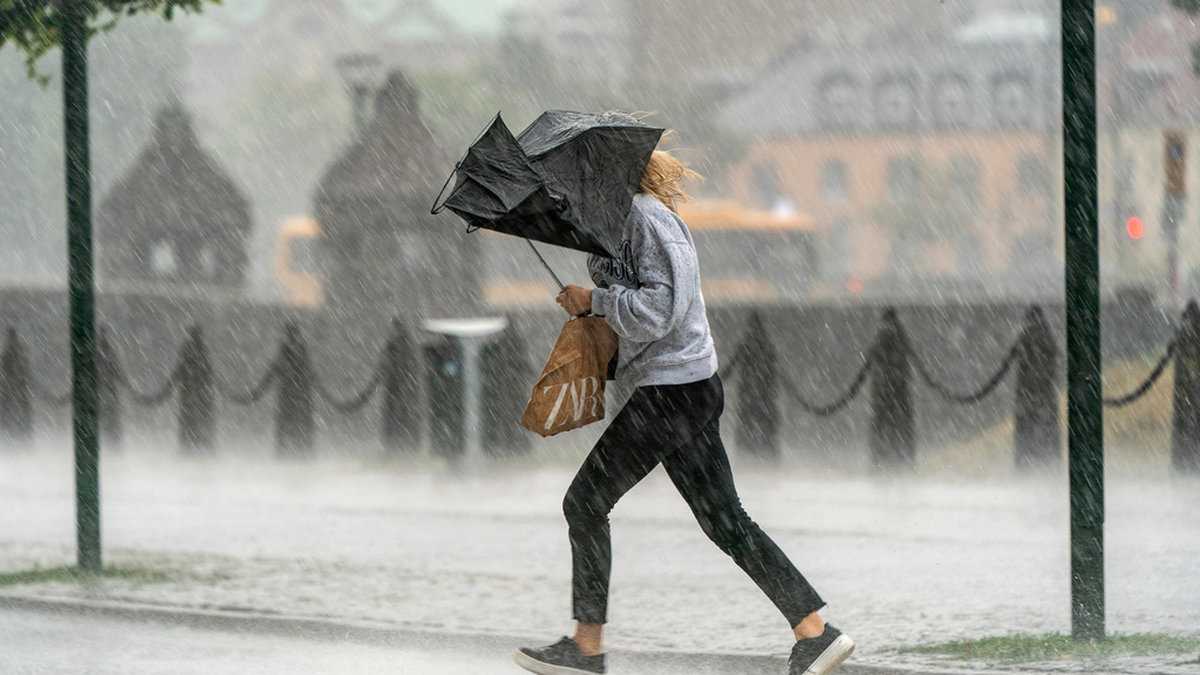 Under fredagen drar ett lågtryck in över landet och det blir en hel del regn i södra och mellersta Sverige i helgen. Arkivbild.