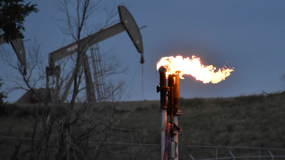 Gasfackling, att tända eld på läckande gas, är vanligt inom olje- och gasindustrin. Arkivbild från ett oljefält i USA 2021.