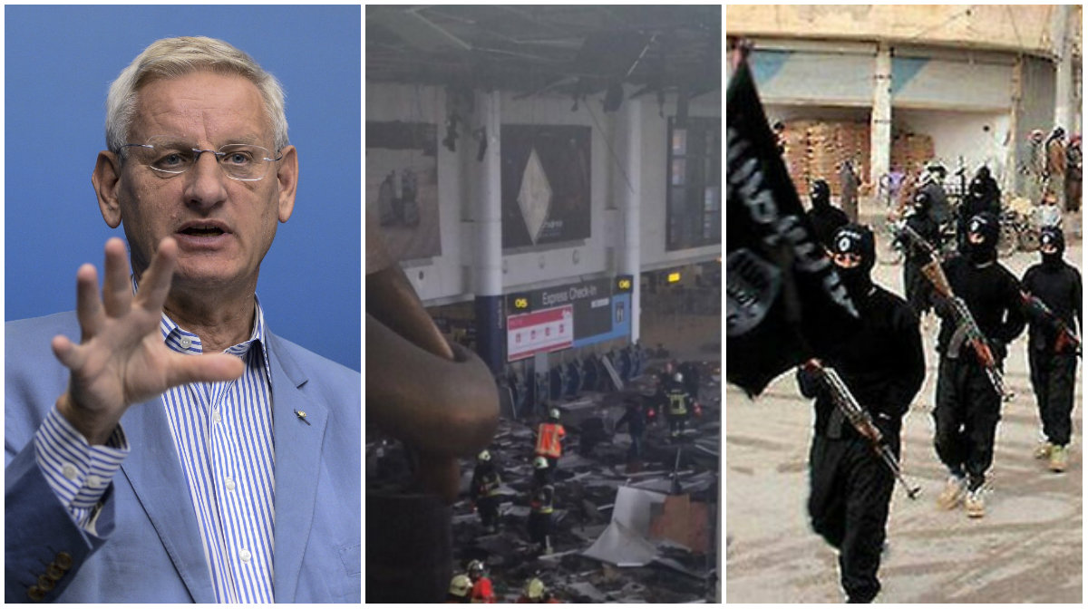 Carl Bild tror att IS ligger bakom explosionerna i Bryssel.