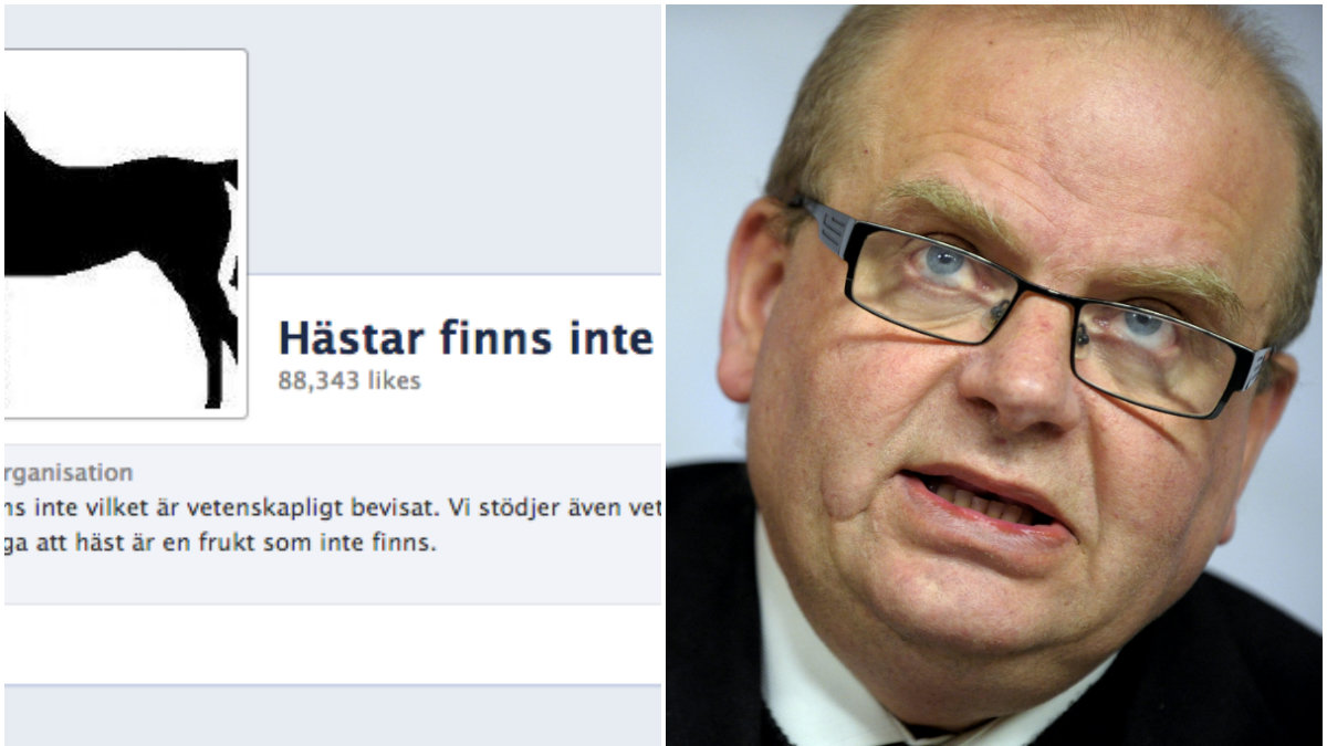 Landsbygdsminister Eskil Erlandsson (C) har även han gett sig in i debatten. Han menar att hästar finns.