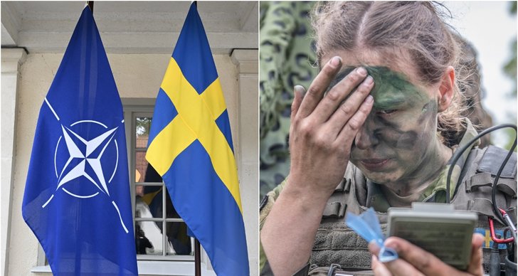 Sverige, nato, Politik, Militären