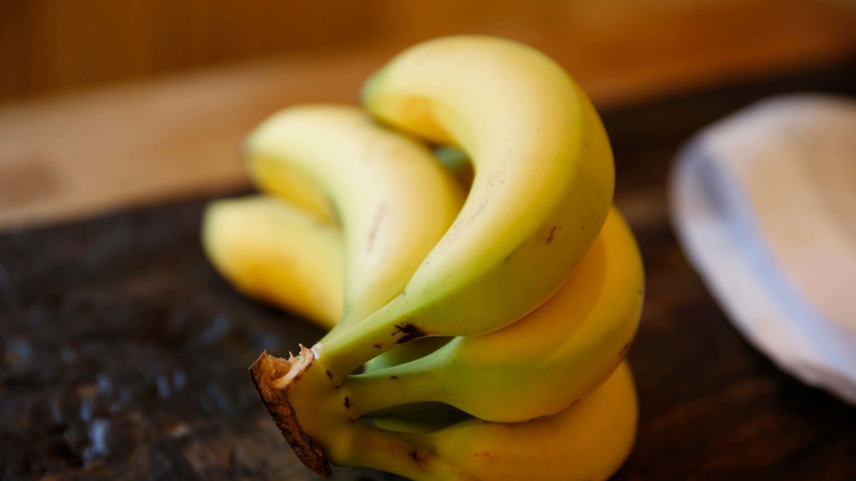Svampen attackerar bananträdets rötter. 