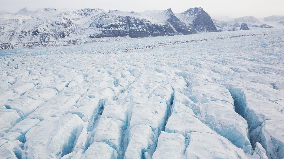 Enligt forskarna kommer det Arktis vi har 2050 vara väldigt annorlunda än det vi har idag. 