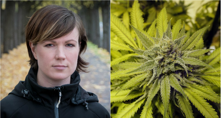 Droger, Zandra Hedlund, Debatt, Cannabis