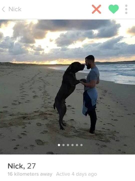 Tänk dig själv i bilden i stället för hunden, och hör orden: "I do". Tänk dig själv i bilden i stället för hunden, och hör orden: "I do".