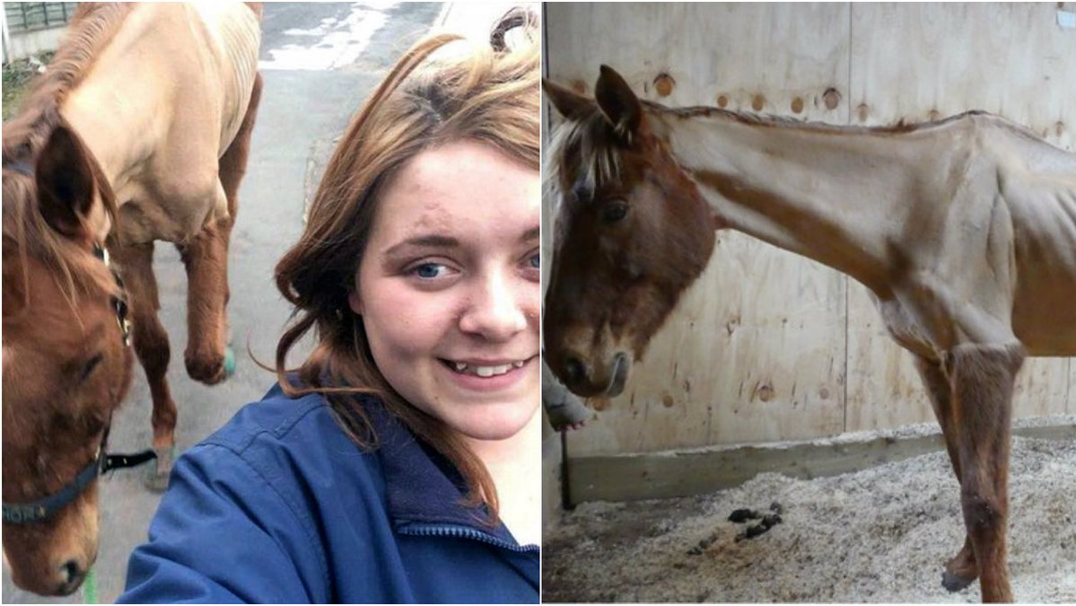 Charlotte McPherson döms för djurplågeri efter att ha lagt upp en bild på sin häst på Facebook.