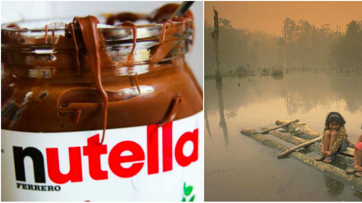Det populära pålägget Nutella innehåller palmolja, som innebär ett klimathot när det framställs.
