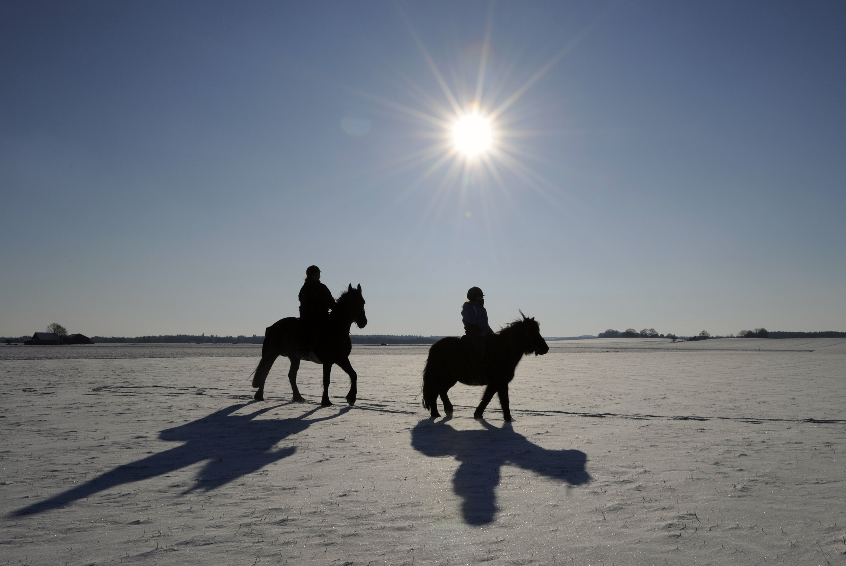 En häst gick genom isen i Halmstad.