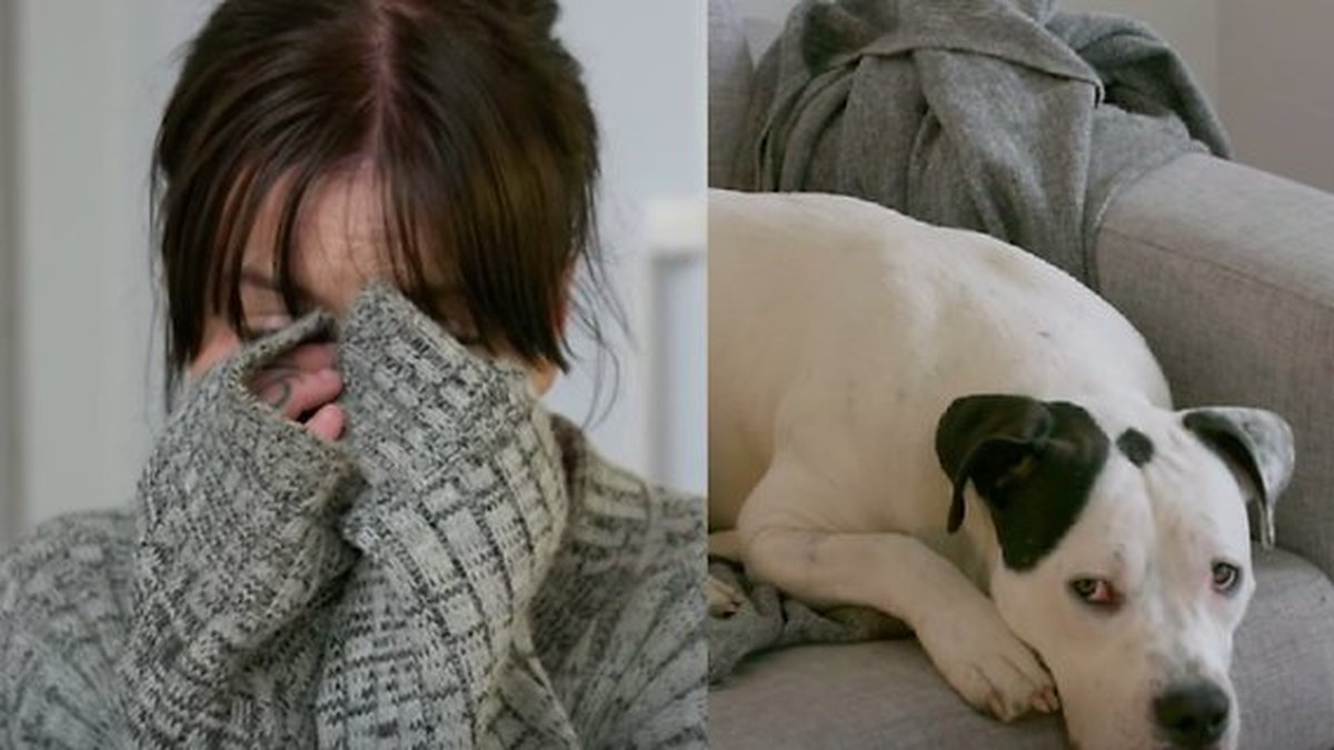 Emma i tårar över hunden när Lyxfällan-kontraktet skrivs. Foto: TV3