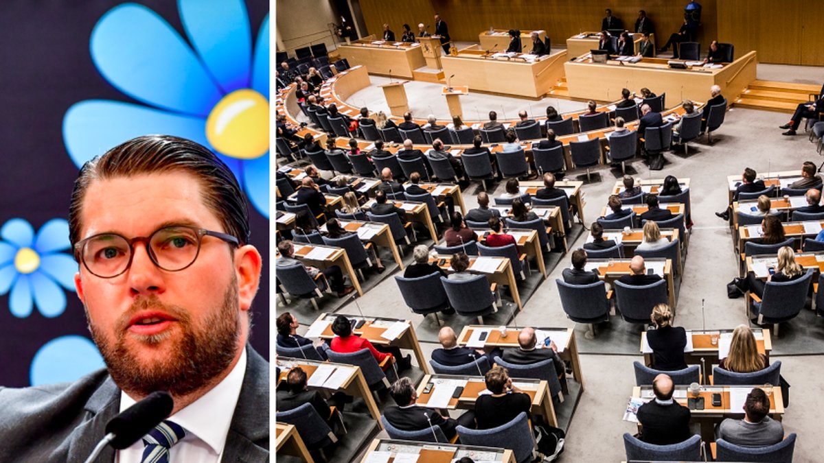 Nyheter24 har granskat hur mycket Sverigedemokraternas ledamöter tjänar.