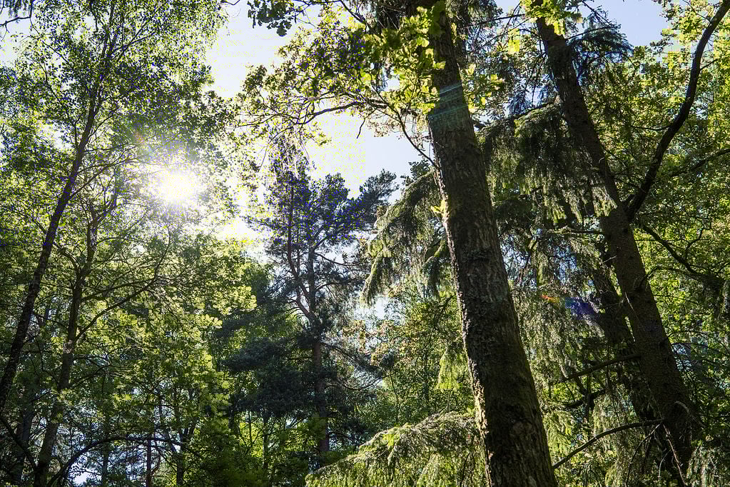 Tre barn försvann från utflykt i Huddinge. Tre barn försvann från utflykt i Huddinge.