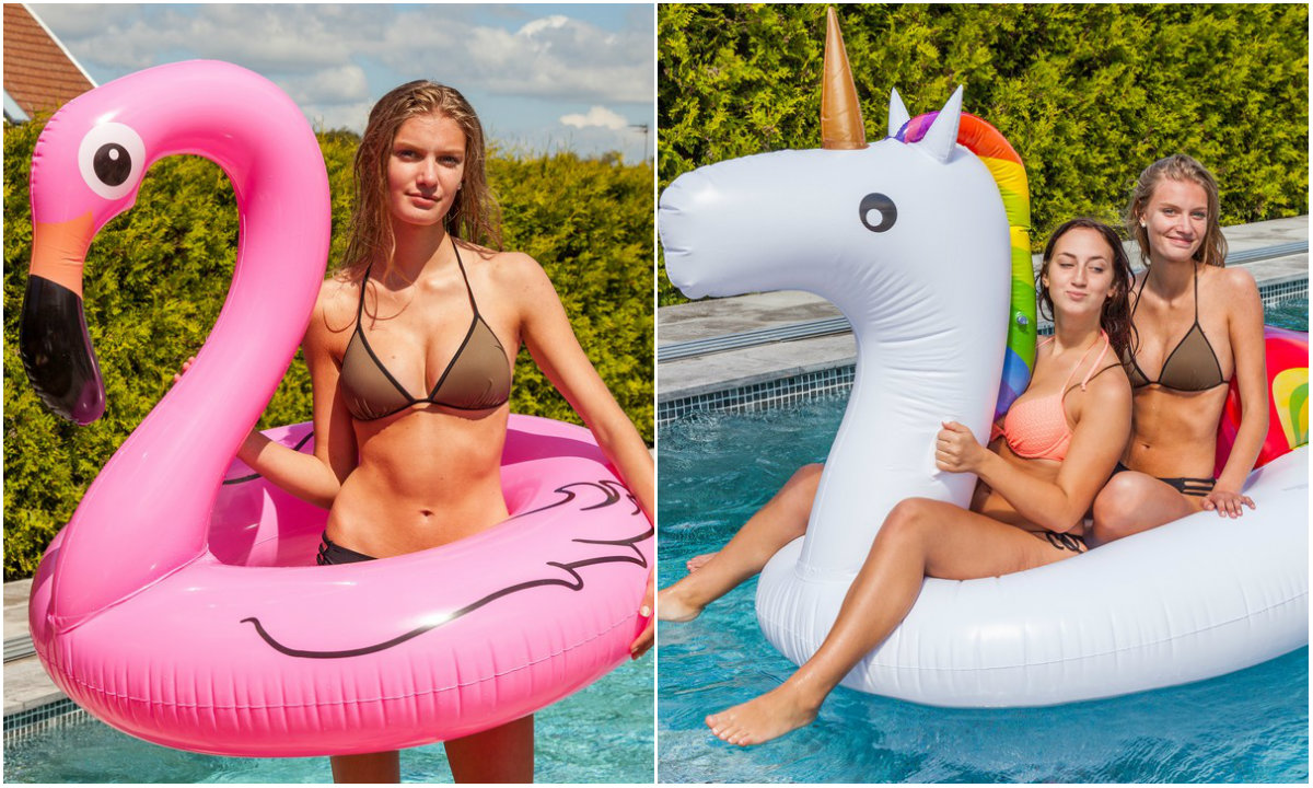 Flamingo badring coolstuff Flamingo badring coolstuff