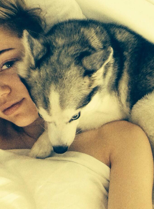 Miley gosar med sin hund. Miley gosar med sin hund.