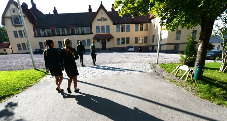 Skola, Kammarratten, Skolinspektionen, Lundsberg