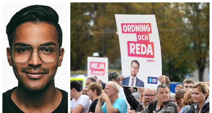 Sverigedemokraterna ar inget annat an nazister i kostym Sverigedemokraterna ar inget annat an nazister i kostym