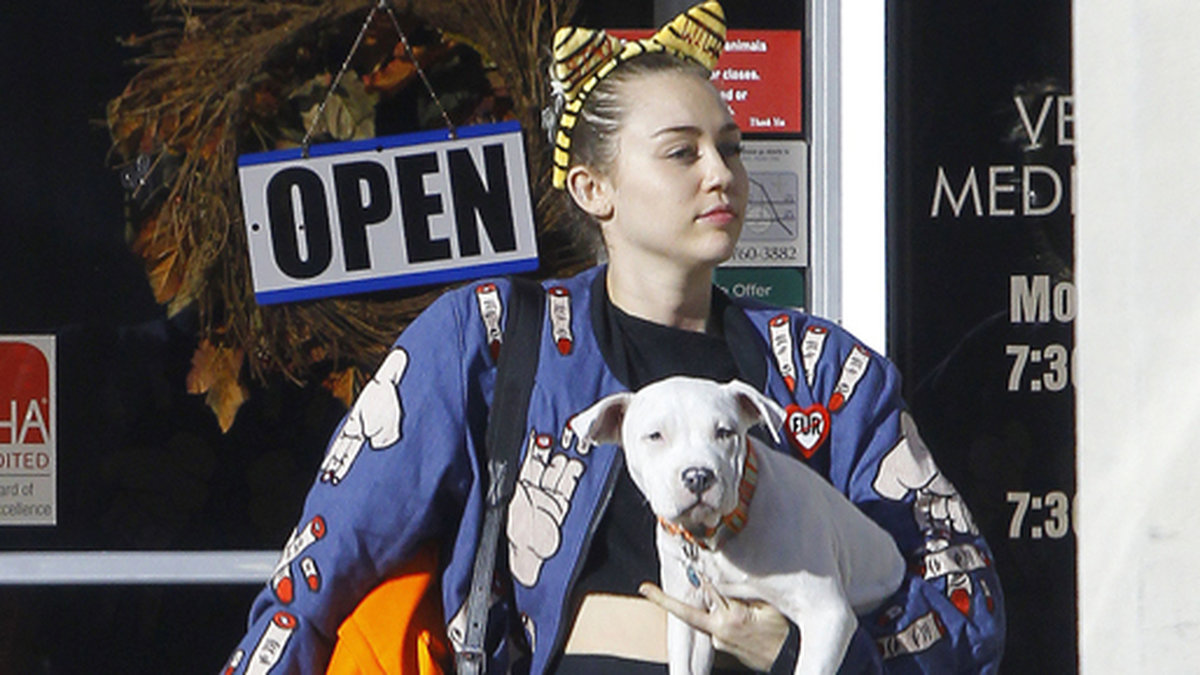 Miley Cyrus tar med sin hund till veterinären i Kalifornien. 