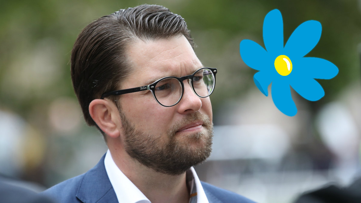 Jimmie Åkesson, Sverigedemokraternas logga.