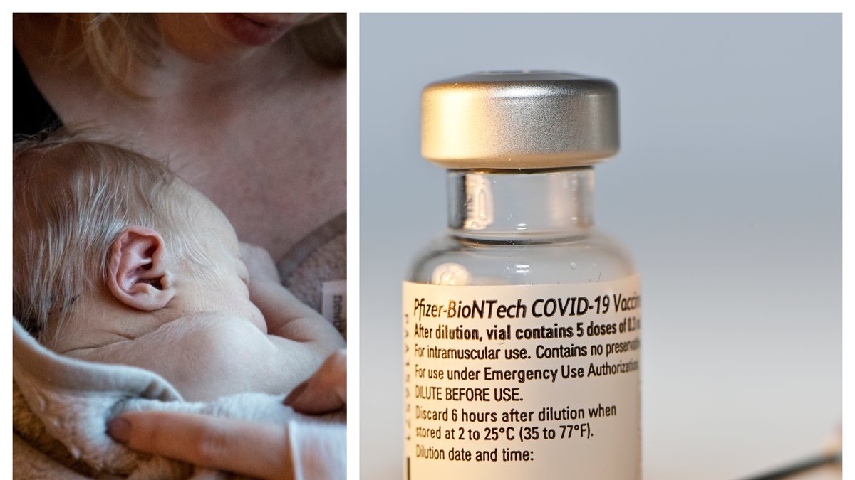 En ny studie visar att gravida eller ammande kvinnor som får vaccin för över antikroppar till sina barn.