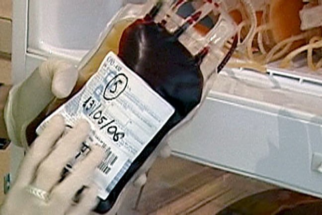 Flera påsar med blod hittades i León kylskåp i samband med en razzia.