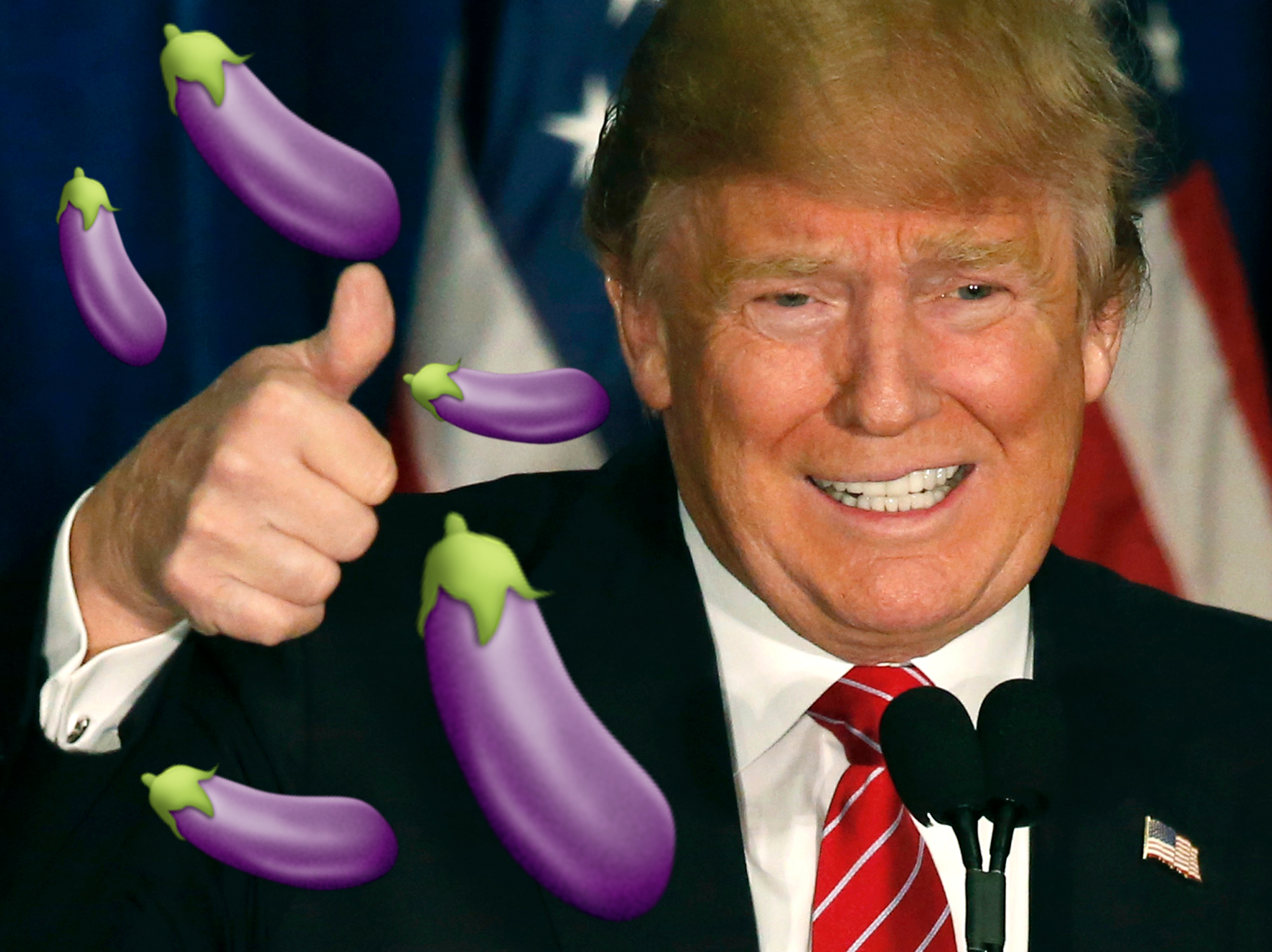 Storlek, Penis, Donald Trump