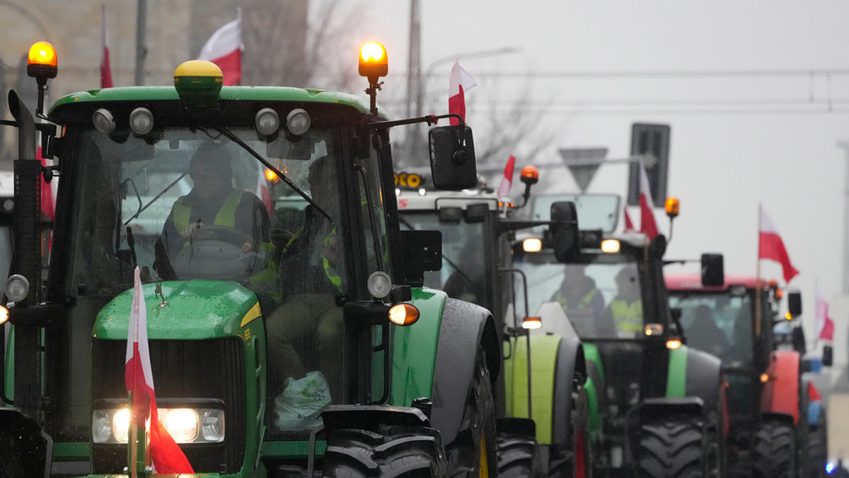 Polska jordbrukare demonstrerar mot importen från Ukraina. Arkivbild.