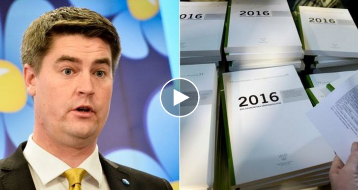 Budgeten, Sverigedemokraterna