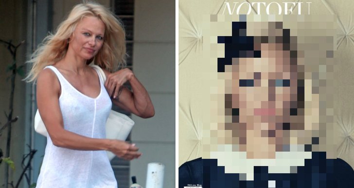Pamela Anderson, Playboy