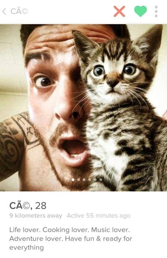 Kissakatt! Höger. Kissakatt! Höger.