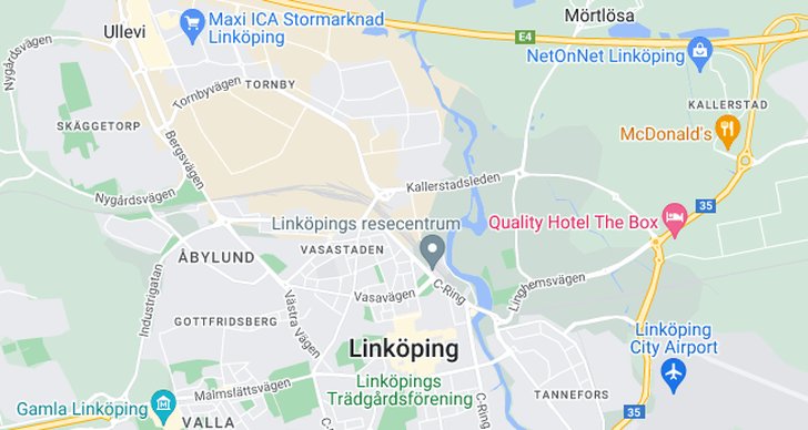 Älg, Linköping, Djur, Brott och straff