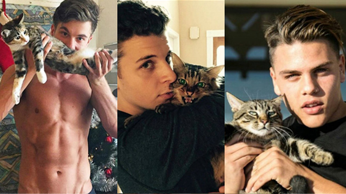 Heta killar med gulliga katter – japp, det här drömkontot borde du följa på Instagram.