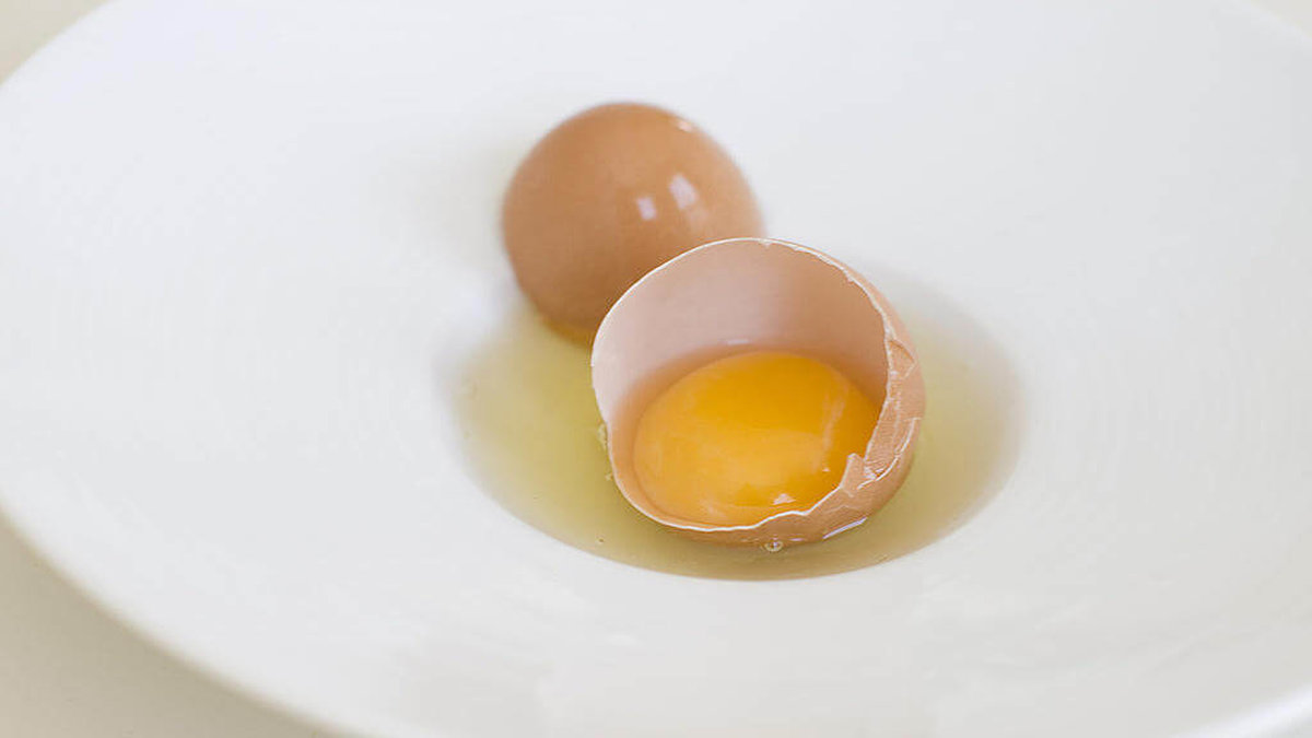 Bruna hönor lägger ofta bruna ägg och vita hönor brukar värpa vita. Så enkelt är det. 