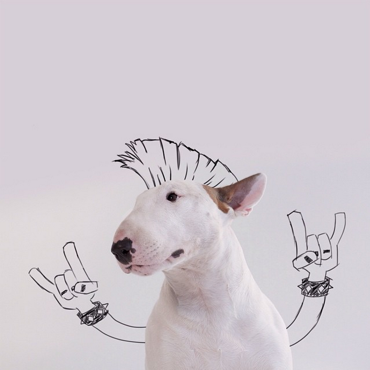 Rock 'n' roll. Rock 'n' roll.