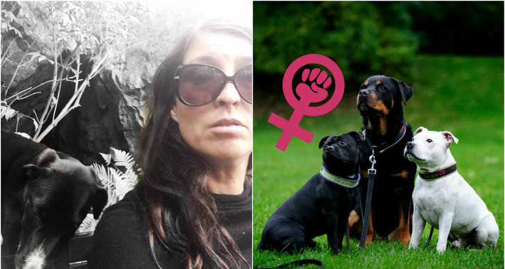 Hund, Feminism, Debatt, Jämställdhet